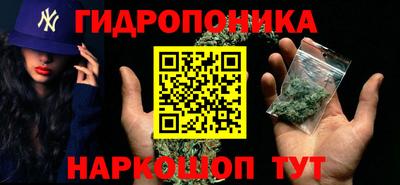 дурь Камышлов