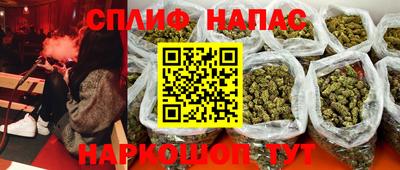 дурь Камышлов