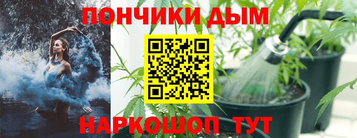 Конопля Bruce Banner Краснознаменск